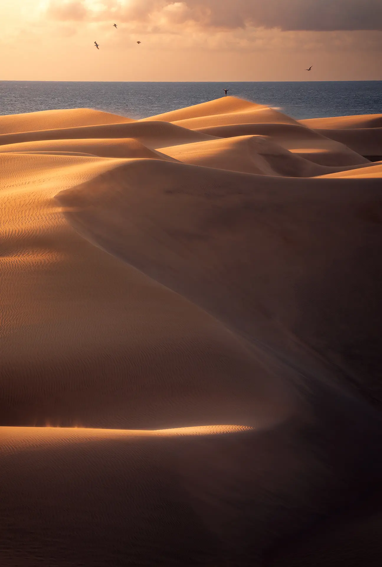 Landscapes